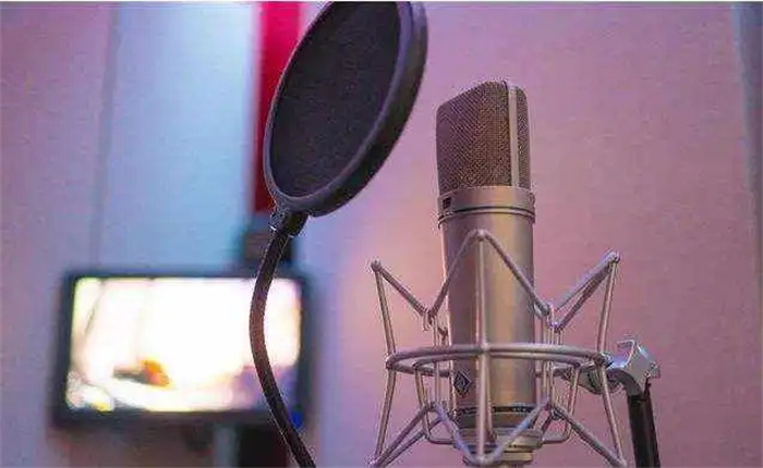 刺鸟配音 (56).jpg 刺鸟配音 (56).jpg