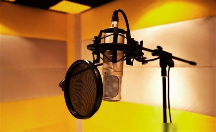 刺鸟配音 (113).jpg 刺鸟配音 (113).jpg