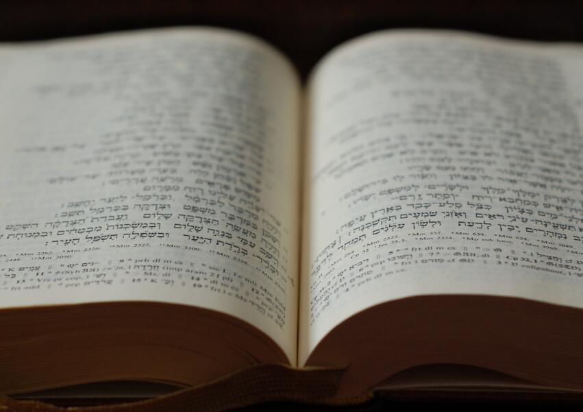 刺鸟配音201.jpg 刺鸟配音201.jpg